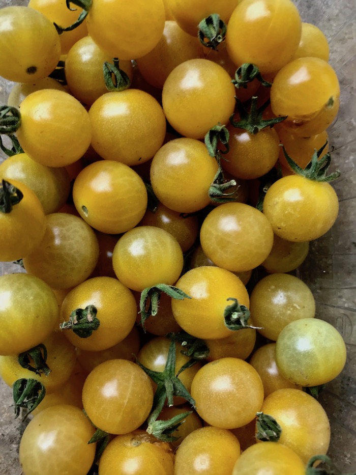 Tomate-Cerise-Champagne