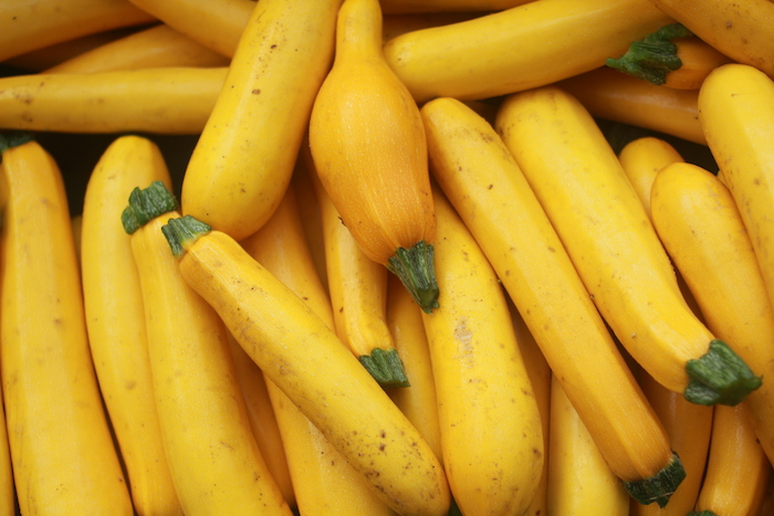 COUREGETTE-Courgette-parador
