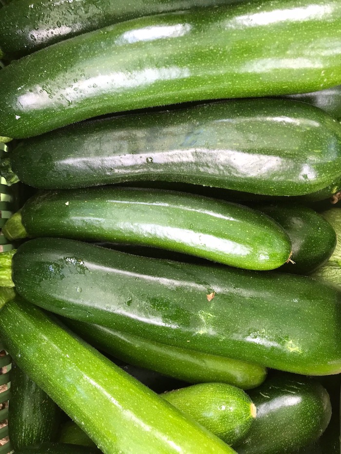COURGETTE-Courgette-zodiac