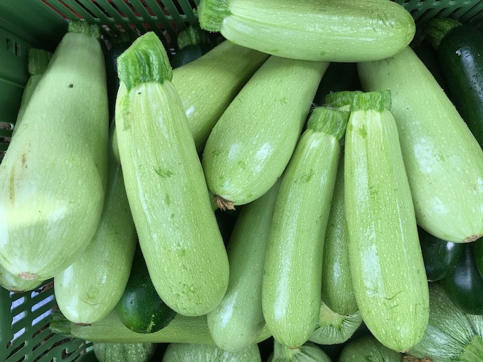 Courgette Ortolana di Faenza