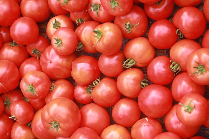 TOMATE-tomate-previa