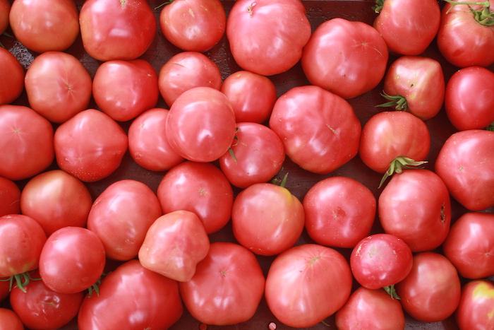 TOMATE-tomate-rose-de-berne